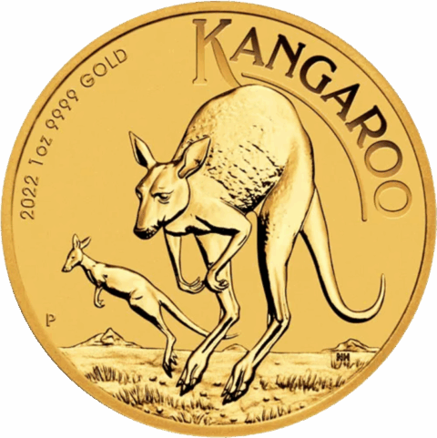 Australian Gold Kangaroo