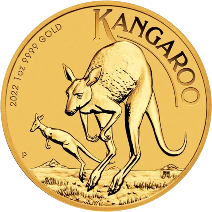 Australian Gold Kangaroo